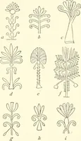 An illustration from The flora of the Assyrian monuments and its outcomes (1894)