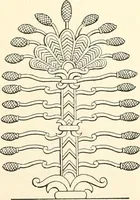 An illustration from The flora of the Assyrian monuments and its outcomes (1894)