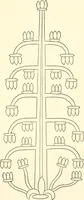 An illustration from The flora of the Assyrian monuments and its outcomes (1894)
