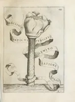 Picture 19 of 41 from Flora, ouero, Cultura di fiori (1638), leaf 159