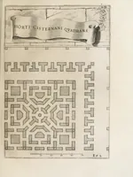 Picture 23 of 41 from Flora, ouero, Cultura di fiori (1638), leaf 239