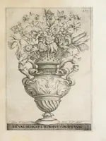Picture 32 of 41 from Flora, ouero, Cultura di fiori (1638), leaf 441
