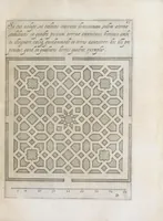 An illustration from Flora, ouero, Cultura di fiori (1638)