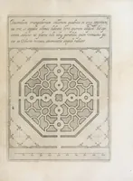 An illustration from Flora, ouero, Cultura di fiori (1638)