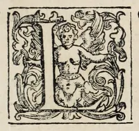 An illustration from Flora, ouero, Cultura di fiori (1638)