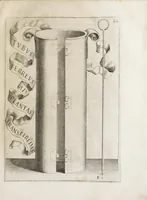 An illustration from Flora, ouero, Cultura di fiori (1638)