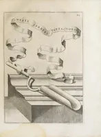 Picture 11 of 41 from Flora, ouero, Cultura di fiori (1638), leaf 91