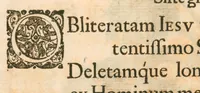 An illustration from Flora sinensis : fructus floresque humillime porrigens, serenissimo et potentissimo principi, ac domino, domino Leopoldo Ignatio, Hungariae regi florentissimo, &c. : fructus saeculo promittenti Augustissimos (1656)