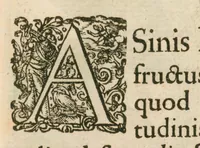 An illustration from Flora sinensis : fructus floresque humillime porrigens, serenissimo et potentissimo principi, ac domino, domino Leopoldo Ignatio, Hungariae regi florentissimo, &c. : fructus saeculo promittenti Augustissimos (1656)