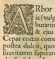 An illustration from Flora sinensis : fructus floresque humillime porrigens, serenissimo et potentissimo principi, ac domino, domino Leopoldo Ignatio, Hungariae regi florentissimo, &c. : fructus saeculo promittenti Augustissimos (1656)