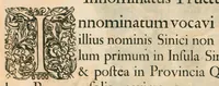 An illustration from Flora sinensis : fructus floresque humillime porrigens, serenissimo et potentissimo principi, ac domino, domino Leopoldo Ignatio, Hungariae regi florentissimo, &c. : fructus saeculo promittenti Augustissimos (1656)