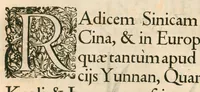 Picture 10 of 14 from Flora sinensis : fructus floresque humillime porrigens, serenissimo et potentissimo principi, ac domino, domino Leopoldo Ignatio, Hungariae regi florentissimo, &c. : fructus saeculo promittenti Augustissimos (1656), leaf 63