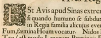 An illustration from Flora sinensis : fructus floresque humillime porrigens, serenissimo et potentissimo principi, ac domino, domino Leopoldo Ignatio, Hungariae regi florentissimo, &c. : fructus saeculo promittenti Augustissimos (1656)