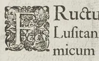 An illustration from Flora sinensis, fructus floresque humillime porrigens serenissimo et potentissimo Leopoldo Ignatio, Hungariae regi florentissimo, &c. Fructus saecul promittenti Augustissimos (1656)