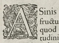 An illustration from Flora sinensis, fructus floresque humillime porrigens serenissimo et potentissimo Leopoldo Ignatio, Hungariae regi florentissimo, &c. Fructus saecul promittenti Augustissimos (1656)