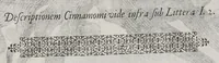 Picture 23 of 35 from Flora sinensis, fructus floresque humillime porrigens serenissimo et potentissimo Leopoldo Ignatio, Hungariae regi florentissimo, &c. Fructus saecul promittenti Augustissimos (1656), leaf 51