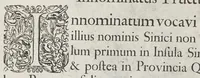 An illustration from Flora sinensis, fructus floresque humillime porrigens serenissimo et potentissimo Leopoldo Ignatio, Hungariae regi florentissimo, &c. Fructus saecul promittenti Augustissimos (1656)