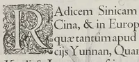 An illustration from Flora sinensis, fructus floresque humillime porrigens serenissimo et potentissimo Leopoldo Ignatio, Hungariae regi florentissimo, &c. Fructus saecul promittenti Augustissimos (1656)