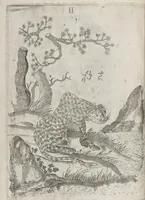 An illustration from Flora sinensis, fructus floresque humillime porrigens serenissimo et potentissimo Leopoldo Ignatio, Hungariae regi florentissimo, &c. Fructus saecul promittenti Augustissimos (1656)