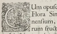 An illustration from Flora sinensis, fructus floresque humillime porrigens serenissimo et potentissimo Leopoldo Ignatio, Hungariae regi florentissimo, &c. Fructus saecul promittenti Augustissimos (1656)