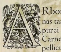 An illustration from Flora sinensis : fructus floresque humillime porrigens serenissiomo et potentissimo Leopoldo Ignatio, Hungariae regi florentissimo, &c. Fructus saecul promittenti Augustissimos (1656)