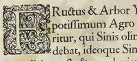 An illustration from Flora sinensis : fructus floresque humillime porrigens serenissiomo et potentissimo Leopoldo Ignatio, Hungariae regi florentissimo, &c. Fructus saecul promittenti Augustissimos (1656)
