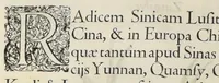 An illustration from Flora sinensis : fructus floresque humillime porrigens serenissiomo et potentissimo Leopoldo Ignatio, Hungariae regi florentissimo, &c. Fructus saecul promittenti Augustissimos (1656)