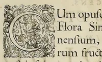 An illustration from Flora sinensis : fructus floresque humillime porrigens serenissiomo et potentissimo Leopoldo Ignatio, Hungariae regi florentissimo, &c. Fructus saecul promittenti Augustissimos (1656)