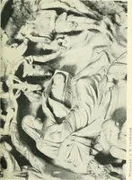 Picture 29 of 32 from Florence (1911), leaf 336