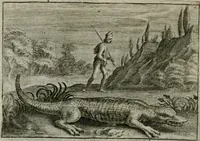 Picture 42 of 75 from Emblemata Florentii Schoonhovii I.C. Goudani, partim moralia partim etiam civilia : cum latiori eorundem ejusdem auctoris intepretatione : accedunt et alia quaedam poëmatia in alijs poëmatum suorum libris non contenta (1648), leaf 137