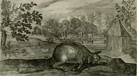 An illustration from Emblemata Florentii Schoonhovii I.C. Goudani, partim moralia partim etiam civilia : cum latiori eorundem ejusdem auctoris intepretatione : accedunt et alia quaedam poëmatia in alijs poëmatum suorum libris non contenta (1648)
