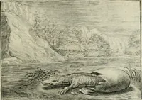 Picture 48 of 75 from Emblemata Florentii Schoonhovii I.C. Goudani, partim moralia partim etiam civilia : cum latiori eorundem ejusdem auctoris intepretatione : accedunt et alia quaedam poëmatia in alijs poëmatum suorum libris non contenta (1648), leaf 154