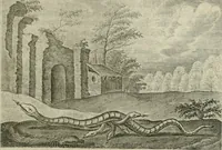 Picture 54 of 75 from Emblemata Florentii Schoonhovii I.C. Goudani, partim moralia partim etiam civilia : cum latiori eorundem ejusdem auctoris intepretatione : accedunt et alia quaedam poëmatia in alijs poëmatum suorum libris non contenta (1648), leaf 170