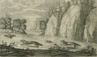 Picture 56 of 75 from Emblemata Florentii Schoonhovii I.C. Goudani, partim moralia partim etiam civilia : cum latiori eorundem ejusdem auctoris intepretatione : accedunt et alia quaedam poëmatia in alijs poëmatum suorum libris non contenta (1648), leaf 175