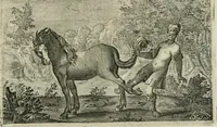 Picture 61 of 75 from Emblemata Florentii Schoonhovii I.C. Goudani, partim moralia partim etiam civilia : cum latiori eorundem ejusdem auctoris intepretatione : accedunt et alia quaedam poëmatia in alijs poëmatum suorum libris non contenta (1648), leaf 188