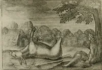 An illustration from Emblemata Florentii Schoonhovii I.C. Goudani, partim moralia partim etiam civilia : cum latiori eorundem ejusdem auctoris intepretatione : accedunt et alia quaedam poëmatia in alijs poëmatum suorum libris non contenta (1648)