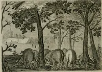 Picture 70 of 75 from Emblemata Florentii Schoonhovii I.C. Goudani, partim moralia partim etiam civilia : cum latiori eorundem ejusdem auctoris intepretatione : accedunt et alia quaedam poëmatia in alijs poëmatum suorum libris non contenta (1648), leaf 217