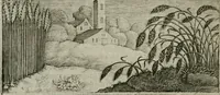 Picture 73 of 75 from Emblemata Florentii Schoonhovii I.C. Goudani, partim moralia partim etiam civilia : cum latiori eorundem ejusdem auctoris intepretatione : accedunt et alia quaedam poëmatia in alijs poëmatum suorum libris non contenta (1648), leaf 225