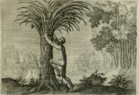 Picture 74 of 75 from Emblemata Florentii Schoonhovii I.C. Goudani, partim moralia partim etiam civilia : cum latiori eorundem ejusdem auctoris intepretatione : accedunt et alia quaedam poëmatia in alijs poëmatum suorum libris non contenta (1648), leaf 228