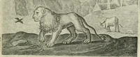 An illustration from Emblemata Florentii Schoonhovii I.C. Goudani, partim moralia partim etiam civilia : cum latiori eorundem ejusdem auctoris intepretatione : accedunt et alia quaedam poëmatia in alijs poëmatum suorum libris non contenta (1648)