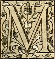 An illustration from The Florentine historie. (1595)