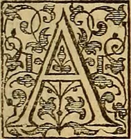 An illustration from The Florentine historie. (1595)