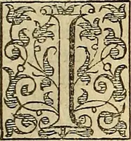 An illustration from The Florentine historie. (1595)