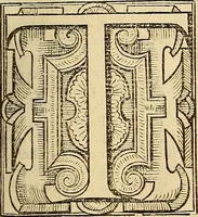 An illustration from The Florentine historie. (1595)