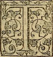 An illustration from The Florentine historie. (1595)