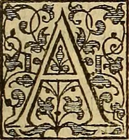 An illustration from The Florentine historie. (1595)