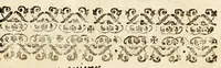 An illustration from Floresta Latina, culta en honra, y alabança de dos bellissimas plantas, y santissimas virgenes, Lucia, y Petronila. Por vnos aficionados suyos. Dedicada à D Carlos Colon Pacheco de Cordoua, y Bocanegra, Marques de Villamayor, y adelantado de la Nueua Galizia, señor de Fos, y el mayorazgo (1623)