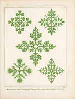An illustration from Floriated ornament : a series of thirty-one designs (1849)