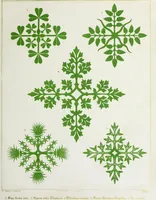Picture 5 of 33 from Floriated ornament: a series of thirty-one designs (1849), leaf 22