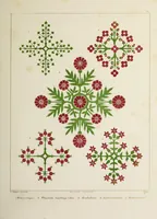 An illustration from Floriated ornament : a series of thirty-one designs (1875)